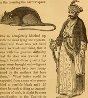 Picture 69 of 303 from Comparative physiognomy; or, Resemblances between men and animals (1852), leaf 74