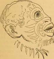 Picture 82 of 303 from Comparative physiognomy; or, Resemblances between men and animals (1852), leaf 86