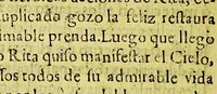 An illustration from Compendio historial de la uida de la gloriosa S[anta] Rita de Casia monja en el observantissimo monasterio de S[anta] Maria Magdalena de Casia del Orden de n[uestro] p[adre] S[an] Agustin. (1699)