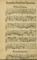 Picture 5 of 12 from Compendiolvm mvsicae pro incipientibvs (1573), leaf 20