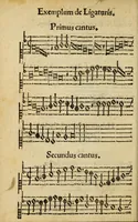 Picture 6 of 12 from Compendiolvm mvsicae pro incipientibvs (1573), leaf 30