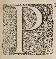 An illustration from A compendious history of the Catholick Church, from the year 600 untill the year 1600 : shewing her deformation and reformation, together with the rise, reign, rage, and begin-fall of the Roman Antichrist .. (1662)