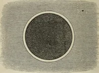 An illustration from A compendium of astronomy; (1855)