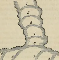 An illustration from A compendium of astronomy; (1855)