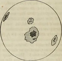 An illustration from A compendium of astronomy; (1855)