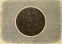 An illustration from A compendium of astronomy; containing the elements of the science, familiarly explained and illustrated, with the latest discoveries. Adapted to the use of schools and academies, and of the general reader (1850)