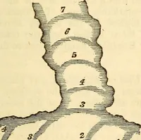 An illustration from A compendium of astronomy; containing the elements of the science, familiarly explained and illustrated, with the latest discoveries. Adapted to the use of schools and academies, and of the general reader (1850)
