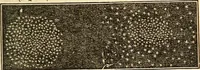 An illustration from A compendium of astronomy; containing the elements of the science, familiarly explained and illustrated, with the latest discoveries. Adapted to the use of schools and academies, and of the general reader (1850)