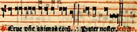 Picture 48 of 58 from Compendiu musices confectu ad faciliore instructione cantum chorale discentiu: necnõ ad introductione huius libelli: qui Cãtorinus intitulatur: omnibus diuino cultui deditis p[er]putilis necessarius: vt in tabula hic immediate sequeti latius apparet (1513), leaf 213