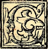 Picture 17 of 58 from Compendiu musices confectu ad faciliore instructione cantum chorale discentiu: necnõ ad introductione huius libelli: qui Cãtorinus intitulatur: omnibus diuino cultui deditis p[er]putilis necessarius: vt in tabula hic immediate sequeti latius apparet (1513), leaf 44