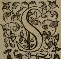 An illustration from Complaints : containing sundrie small poemes of the worlds vanitie. VVhereof the next page maketh mention (1591)