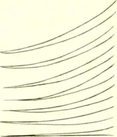 An illustration from A complete body of heraldry : containing, an historical enquiry into the origin of armories, and the rise and progress of heraldry, considered as a science ... (1780)