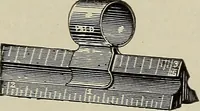 An illustration from Complete catalog and price list (1900)