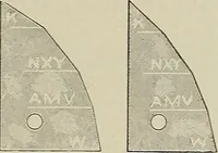 An illustration from Complete catalog and price list (1900)