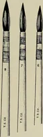 An illustration from Complete catalog and price list (1900)