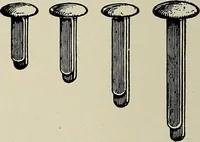 An illustration from Complete catalog and price list (1900)