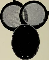 An illustration from Complete catalog and price list (1900)