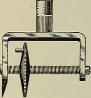 An illustration from Complete catalog and price list (1900)