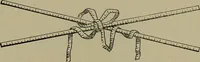 An illustration from A complete dictionary of dry goods and history of silk, linen, wool and other fibrous substances (1892)