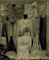 An illustration from A complete dictionary of dry goods and history of silk, linen, wool and other fibrous substances (1892)