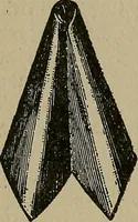 An illustration from A complete dictionary of dry goods and history of silk, linen, wool and other fibrous substances (1892)