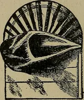 An illustration from A complete dictionary of dry goods and history of silk, linen, wool and other fibrous substances (1892)