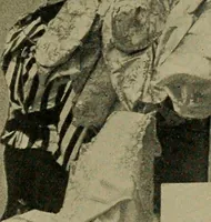 An illustration from A complete dictionary of dry goods and history of silk, linen, wool and other fibrous substances (1892)