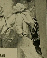 An illustration from A complete dictionary of dry goods and history of silk, linen, wool and other fibrous substances (1892)