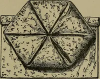 An illustration from A complete dictionary of dry goods and history of silk, linen, wool and other fibrous substances (1892)