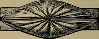 An illustration from A complete dictionary of dry goods and history of silk, linen, wool and other fibrous substances (1892)