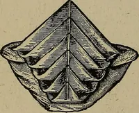 An illustration from A complete dictionary of dry goods and history of silk, linen, wool and other fibrous substances (1892)