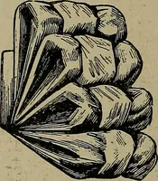 An illustration from A complete dictionary of dry goods and history of silk, linen, wool and other fibrous substances (1892)