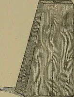 An illustration from A complete dictionary of dry goods and history of silk, linen, wool and other fibrous substances (1892)