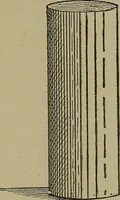 An illustration from A complete dictionary of dry goods and history of silk, linen, wool and other fibrous substances (1892)