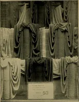 An illustration from A complete dictionary of dry goods and history of silk, linen, wool and other fibrous substances (1892)