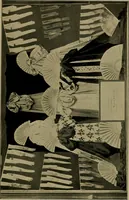 An illustration from A complete dictionary of dry goods and history of silk, linen, wool and other fibrous substances (1892)