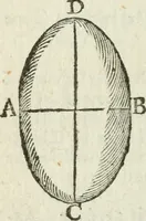 An illustration from The complete measurer; or, The whole art of measuring .. (1789)
