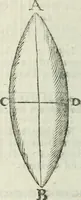 An illustration from The complete measurer; or, The whole art of measuring .. (1789)