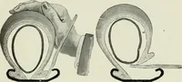 An illustration from The complete motorist, being an account of the evolution and construction of the modern motor-car; with notes on the selection, use, and maintenance of the same; and on the pleasures of travel upon the public roads (1905)