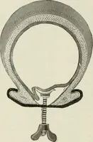 An illustration from The complete motorist, being an account of the evolution and construction of the modern motor-car; with notes on the selection, use, and maintenance of the same; and on the pleasures of travel upon the public roads (1905)
