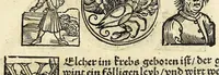 An illustration from Complexion : Natür vnd Eigenschafft eines yeden Menschen zü erfaren, auch seiner Gebürtstund vnnd Zeychen, ... auss zü rechnen (1534)