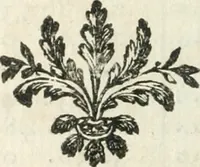 Picture 4 of 20 from Cométographie ou Traité historique et théorique des comètes (1783), leaf 121