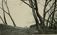 An illustration from The conception of art (1913)