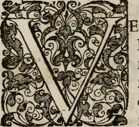 An illustration from Conceptvs chronographicvs de concepta sacra Deipara : Septingentis Sacrae Scripturae, ss. patrum, ac rationum, nec non historiarum, symbolorum, antiquitatum, et anagrammatum suffragiis roboratus : ac totidem praefixis chronographicis, annum currentem prodentibus copiose instructus : occasione saeculi, hoc eodem anno septima vice absoluti, et celebrati, a patribus Benedictinis liberi, ac imperialis monasterii ad SS. Udalricum, & Afram, Augustae Vindelicorum (1712)