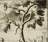 An illustration from Conceptvs chronographicvs de concepta sacra Deipara : Septingentis Sacrae Scripturae, ss. patrum, ac rationum, nec non historiarum, symbolorum, antiquitatum, et anagrammatum suffragiis roboratus : ac totidem praefixis chronographicis, annum currentem prodentibus copiose instructus : occasione saeculi, hoc eodem anno septima vice absoluti, et celebrati, a patribus Benedictinis liberi, ac imperialis monasterii ad SS. Udalricum, & Afram, Augustae Vindelicorum (1712)