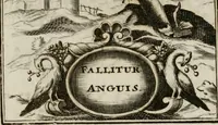 Picture 44 of 107 from Conceptvs chronographicvs de concepta sacra Deipara : Septingentis Sacrae Scripturae, ss. patrum, ac rationum, nec non historiarum, symbolorum, antiquitatum, et anagrammatum suffragiis roboratus : ac totidem praefixis chronographicis, annum currentem prodentibus copiose instructus : occasione saeculi, hoc eodem anno septima vice absoluti, et celebrati, a patribus Benedictinis liberi, ac imperialis monasterii ad SS. Udalricum, & Afram, Augustae Vindelicorum (1712), leaf 146