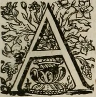 An illustration from Conceptvs chronographicvs de concepta sacra Deipara : Septingentis Sacrae Scripturae, ss. patrum, ac rationum, nec non historiarum, symbolorum, antiquitatum, et anagrammatum suffragiis roboratus : ac totidem praefixis chronographicis, annum currentem prodentibus copiose instructus : occasione saeculi, hoc eodem anno septima vice absoluti, et celebrati, a patribus Benedictinis liberi, ac imperialis monasterii ad SS. Udalricum, & Afram, Augustae Vindelicorum (1712)