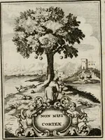 Picture 51 of 107 from Conceptvs chronographicvs de concepta sacra Deipara : Septingentis Sacrae Scripturae, ss. patrum, ac rationum, nec non historiarum, symbolorum, antiquitatum, et anagrammatum suffragiis roboratus : ac totidem praefixis chronographicis, annum currentem prodentibus copiose instructus : occasione saeculi, hoc eodem anno septima vice absoluti, et celebrati, a patribus Benedictinis liberi, ac imperialis monasterii ad SS. Udalricum, & Afram, Augustae Vindelicorum (1712), leaf 170