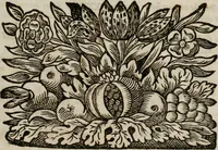 An illustration from Conceptvs chronographicvs de concepta sacra Deipara : Septingentis Sacrae Scripturae, ss. patrum, ac rationum, nec non historiarum, symbolorum, antiquitatum, et anagrammatum suffragiis roboratus : ac totidem praefixis chronographicis, annum currentem prodentibus copiose instructus : occasione saeculi, hoc eodem anno septima vice absoluti, et celebrati, a patribus Benedictinis liberi, ac imperialis monasterii ad SS. Udalricum, & Afram, Augustae Vindelicorum (1712)