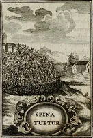 Picture 92 of 107 from Conceptvs chronographicvs de concepta sacra Deipara : Septingentis Sacrae Scripturae, ss. patrum, ac rationum, nec non historiarum, symbolorum, antiquitatum, et anagrammatum suffragiis roboratus : ac totidem praefixis chronographicis, annum currentem prodentibus copiose instructus : occasione saeculi, hoc eodem anno septima vice absoluti, et celebrati, a patribus Benedictinis liberi, ac imperialis monasterii ad SS. Udalricum, & Afram, Augustae Vindelicorum (1712), leaf 333